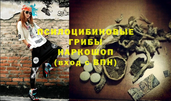 соль ск Балахна